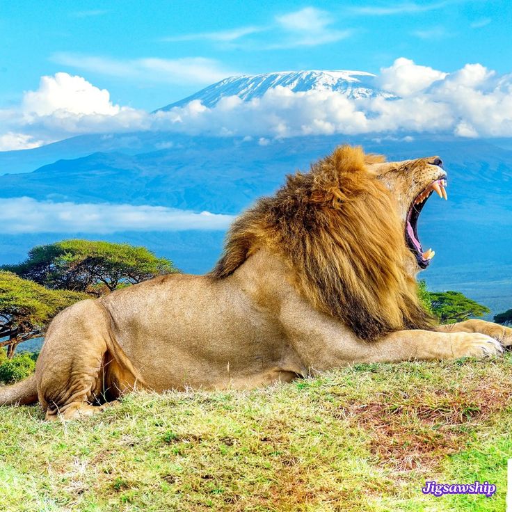 Serengeti and Zanzibar